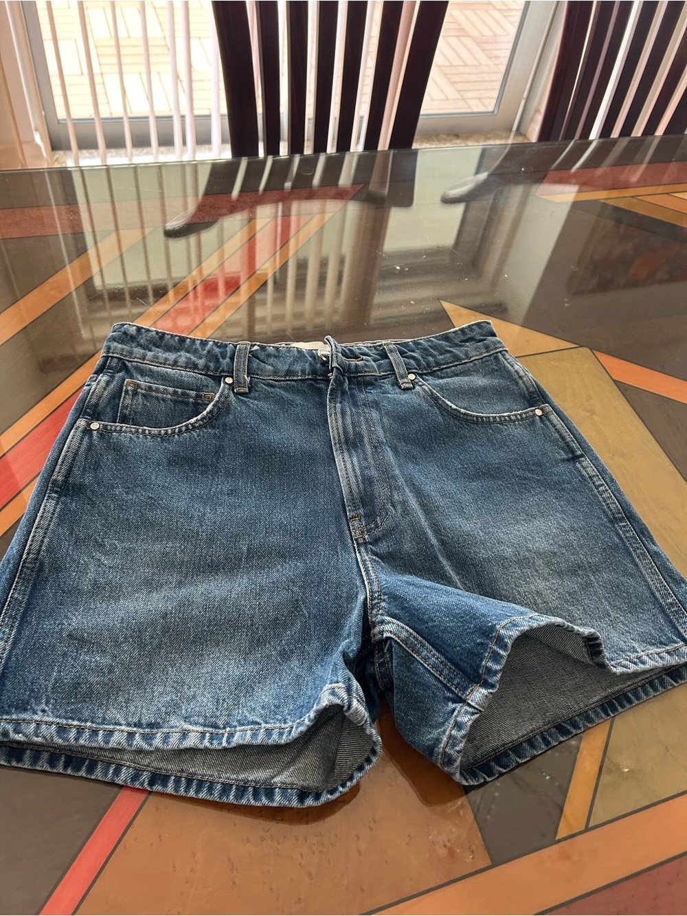 Anine Bing shorts 27